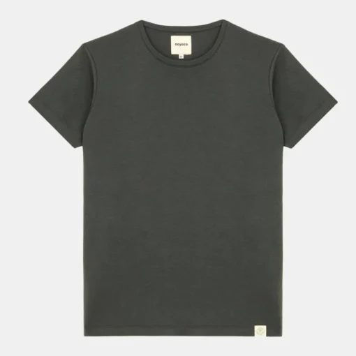 Camden Anthracite