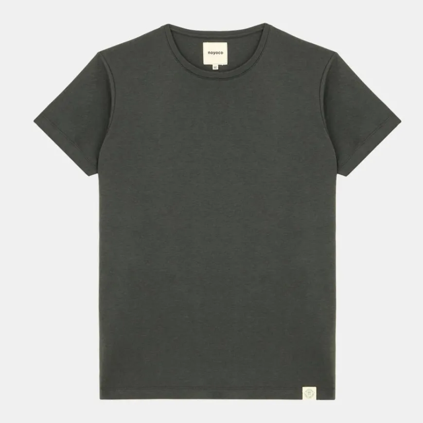 Camden Anthracite