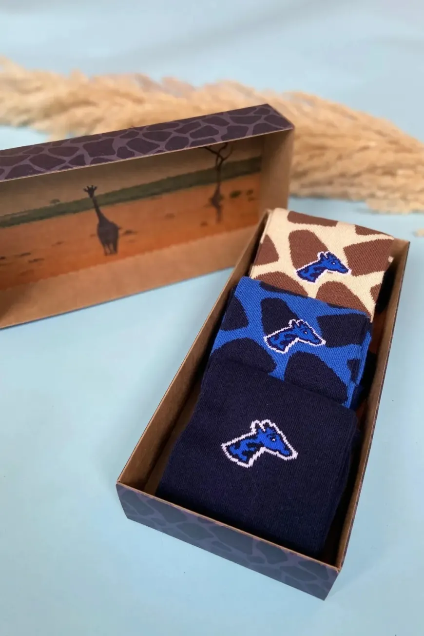 Coffret 3 paires de chaussettes Savanight