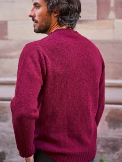Pull Allan en laine bordeaux